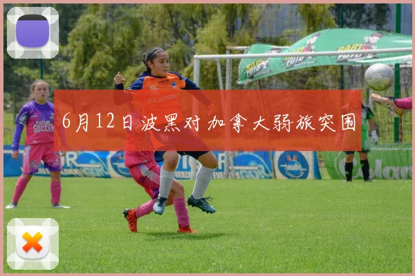 6月12日波黑对加拿大弱旅突围