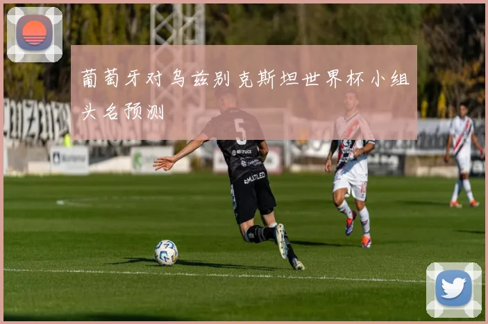 葡萄牙对乌兹别克斯坦世界杯小组头名预测
