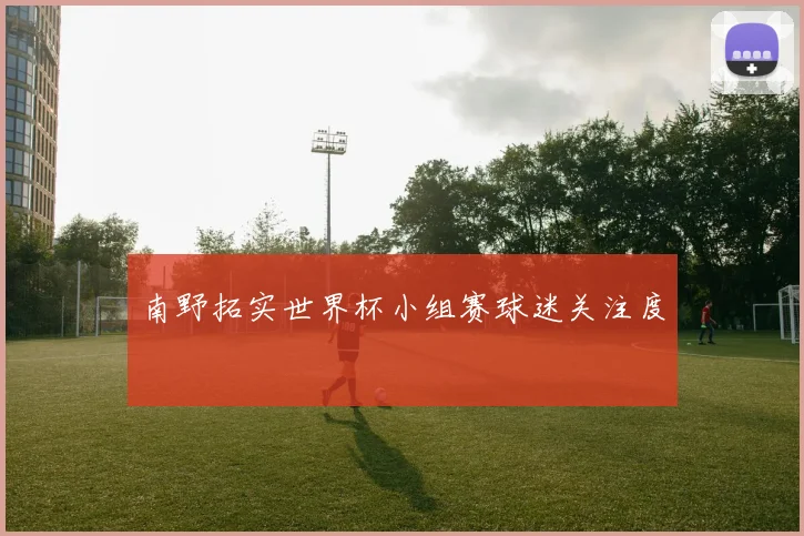 南野拓实世界杯小组赛球迷关注度
