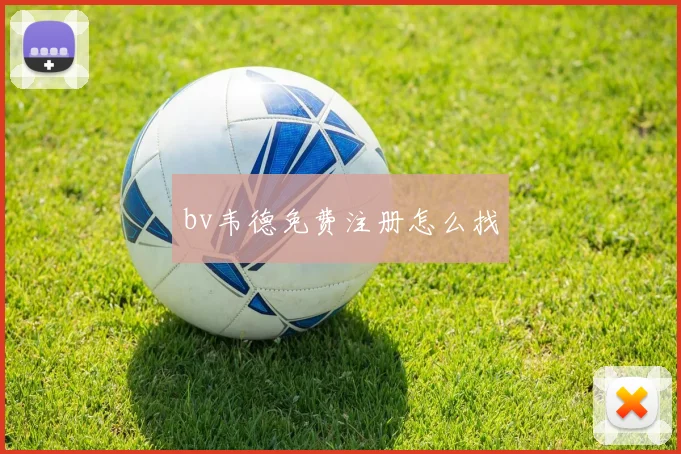 bv韦德免费注册怎么找