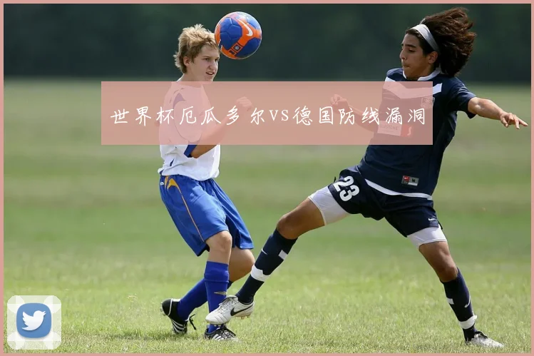 世界杯厄瓜多尔vs德国防线漏洞