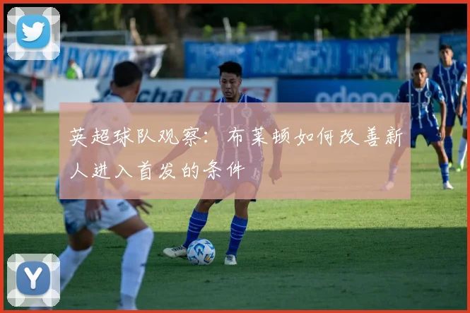 英超球队观察:布莱顿如何改善新人进入首发的条件